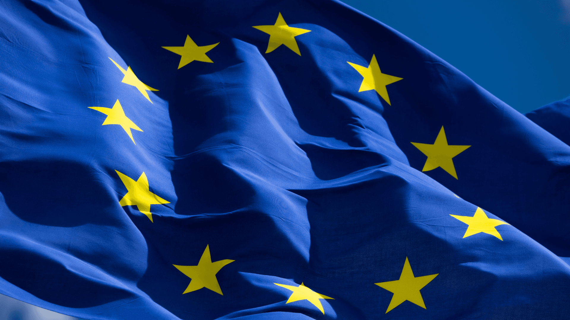 European Solidarity Corps bewilligt Projekt „Vibes & Values – Connecting Cultures, Strengthening Solidarity“